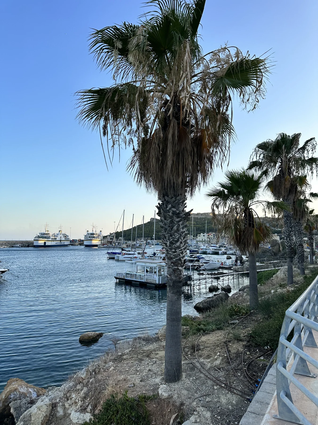 Marina boats in warm evening light.