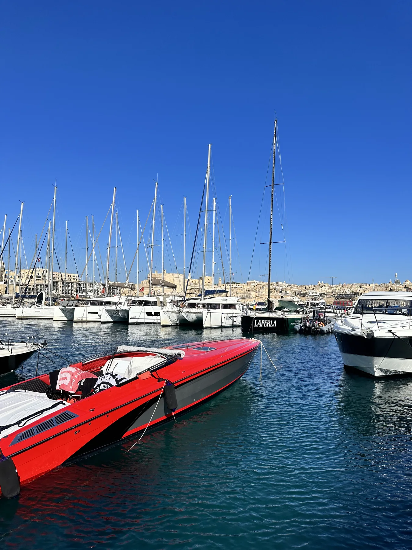 Sunny marina waterfront with boats, clear water and shore access.